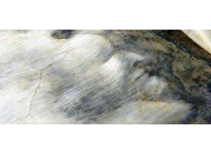 Giotto volto-nuvola Giotto volto-nuvola